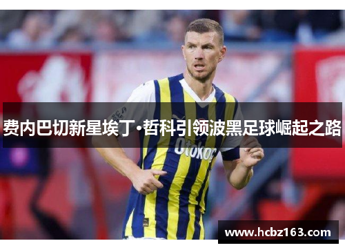 费内巴切新星埃丁·哲科引领波黑足球崛起之路