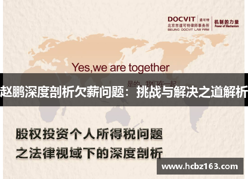 赵鹏深度剖析欠薪问题：挑战与解决之道解析