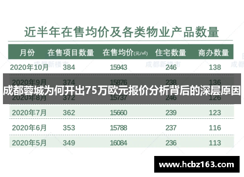 成都蓉城为何开出75万欧元报价分析背后的深层原因